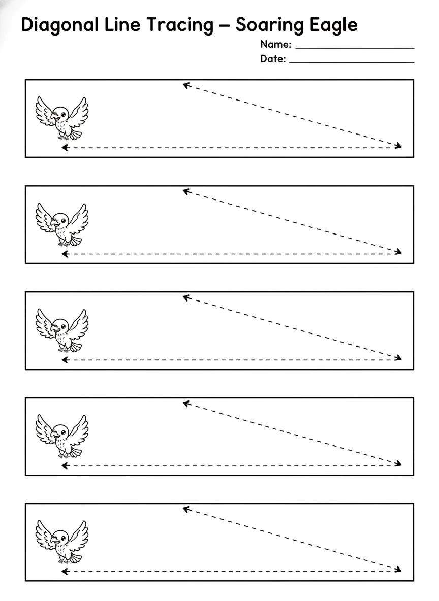 Diagonal Slant Lines with a Soaring Eagle